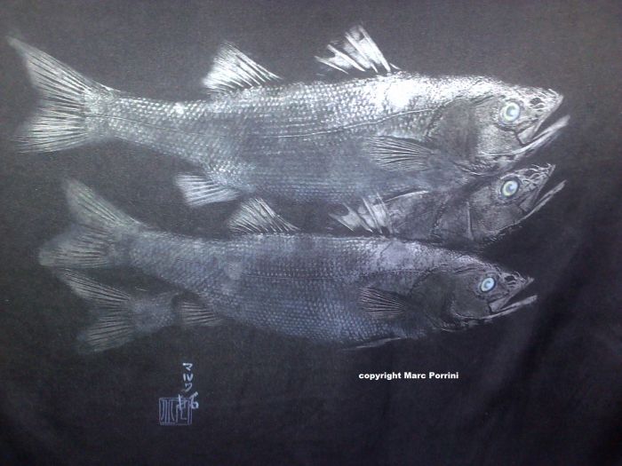 sea bass fish on black silk