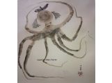 crzy octopus(90cm long)