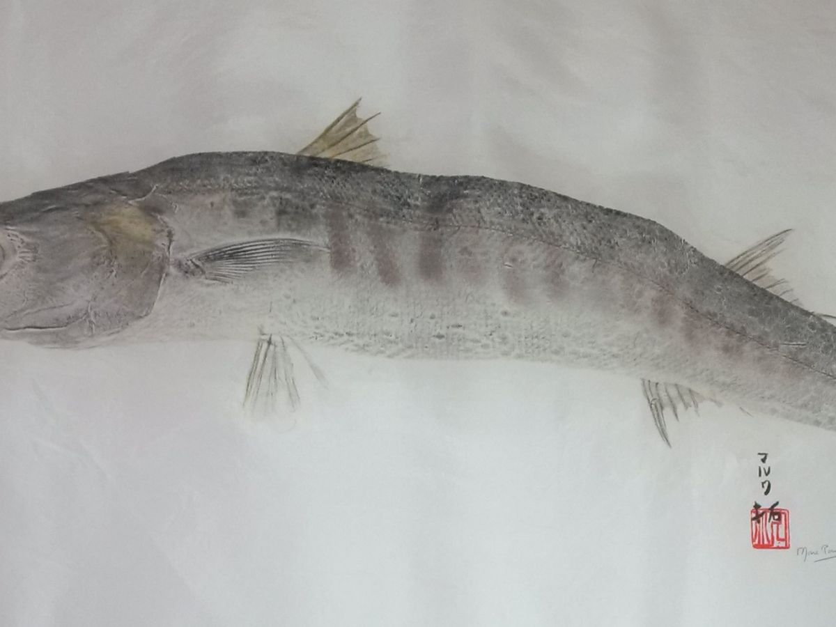 15.barracuda sur soie longueur 1m