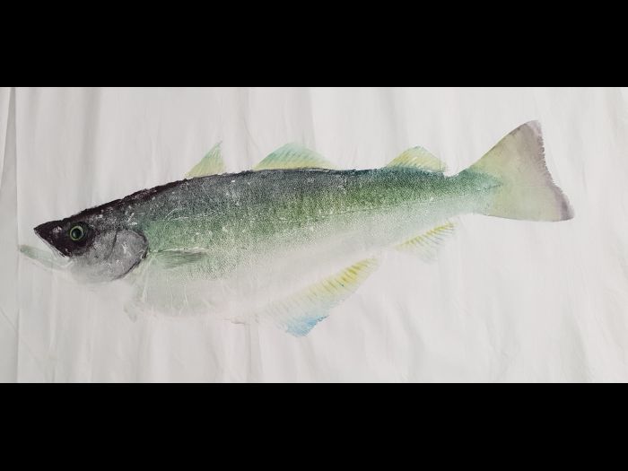 Lieu vert